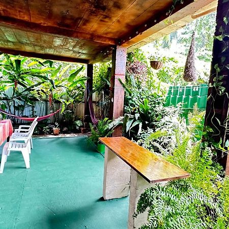 Natural Experience House 托尔图格罗 外观 照片