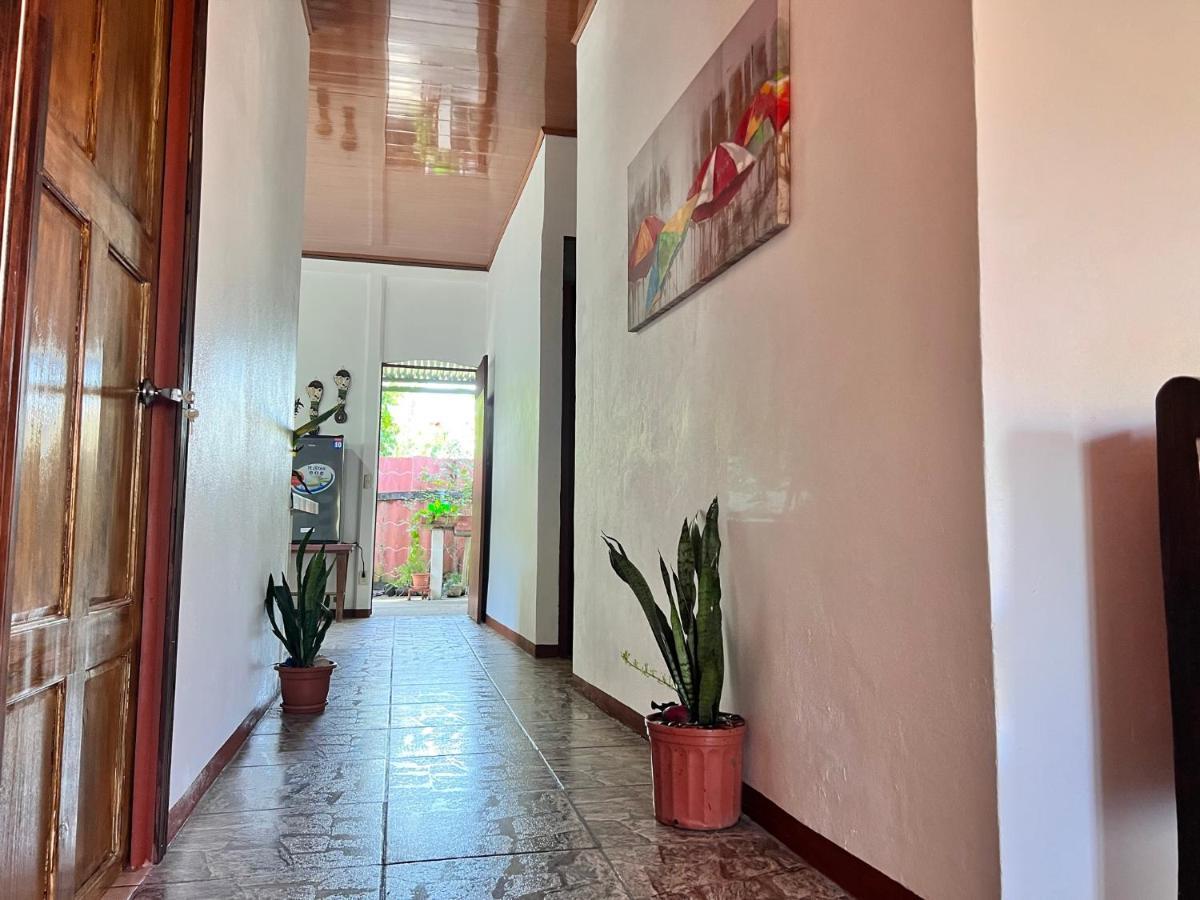 Natural Experience House 托尔图格罗 外观 照片
