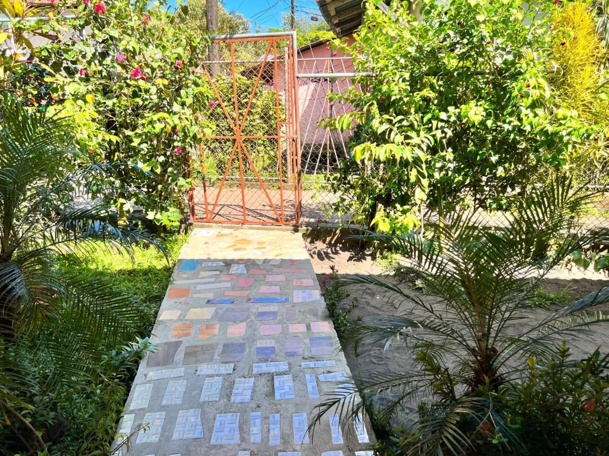 Natural Experience House 托尔图格罗 外观 照片