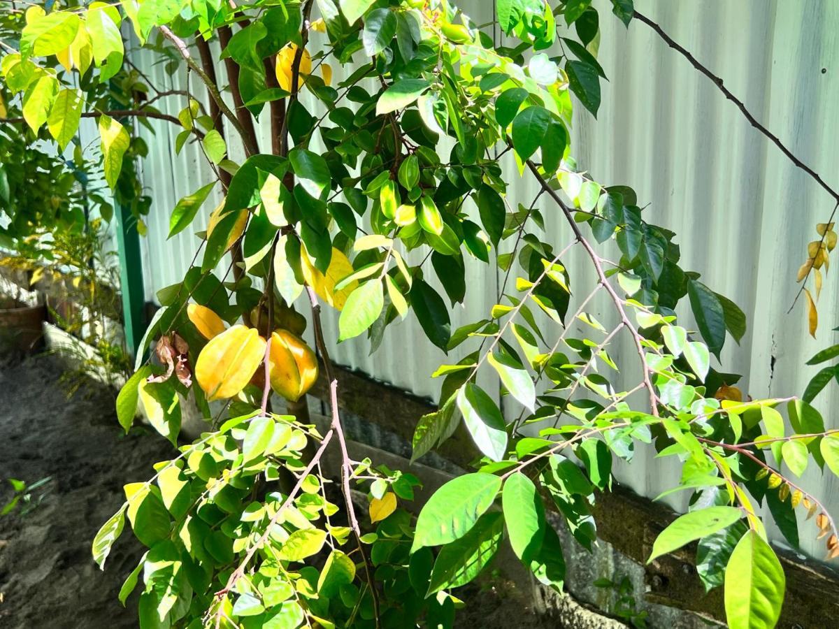 Natural Experience House 托尔图格罗 外观 照片