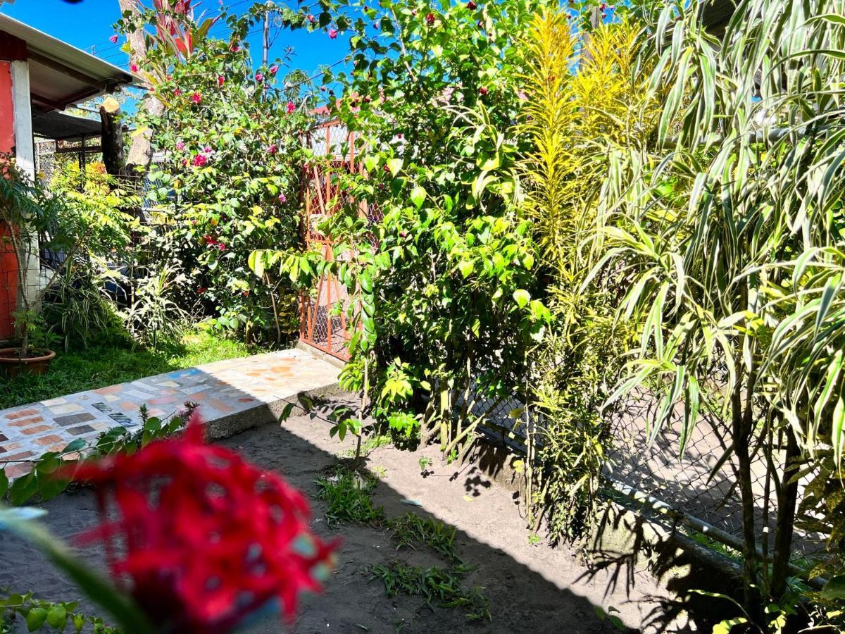 Natural Experience House 托尔图格罗 外观 照片